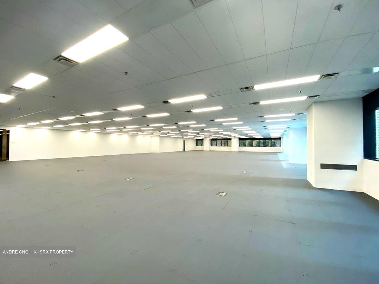 Robinson 77 (D1), Office #460163921